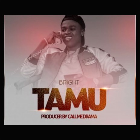 Tamu | Boomplay Music