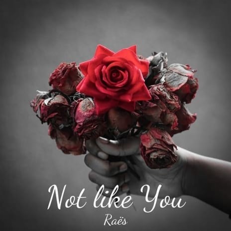 Not Like You | Boomplay Music