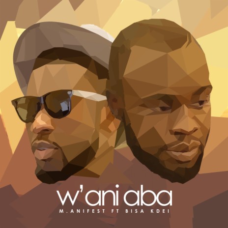W'ani Aba ft. Bisa Kdei | Boomplay Music