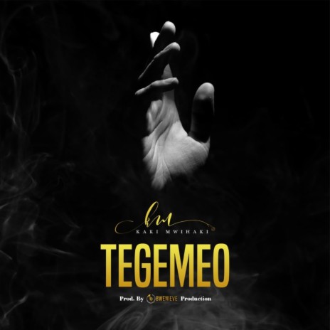 Tegemeo | Boomplay Music
