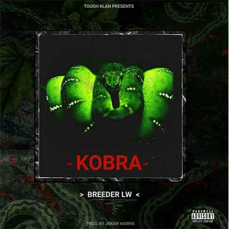 Kobra | Boomplay Music