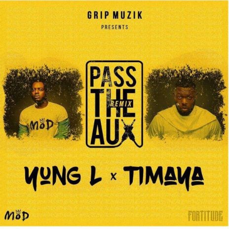 Pass The Aux (Remix) ft. Timaya | Boomplay Music