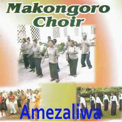 Mwokozi Kafufuka | Boomplay Music