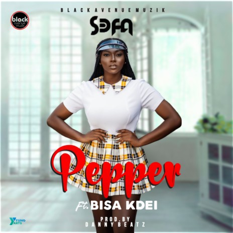 Pepper ft. Bisa Kdei | Boomplay Music