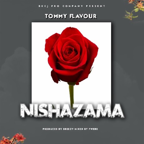Nishazama | Boomplay Music