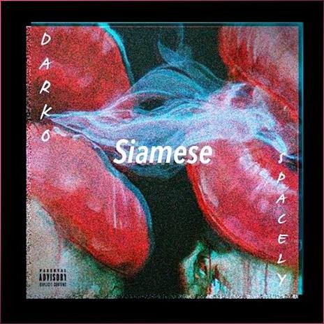 Siamese ft. $pacely | Boomplay Music