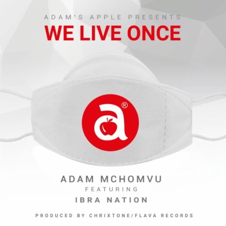 We Live Once ft Ibra Nation | Boomplay Music