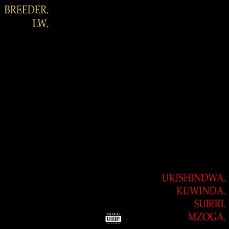 UKSM (Ukishindwa Kuwinda Subiri Mzoga) | Boomplay Music